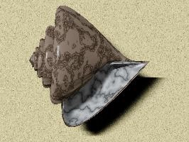 webflat2 (another copy).jpg